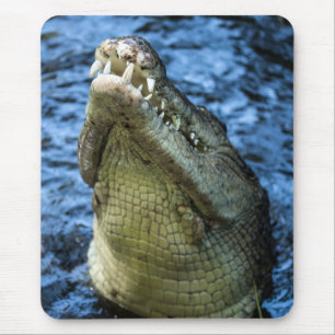 Krokodile Zähne Wasser Mousepad