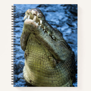 Krokodile Zähne Wasser Notizbuch