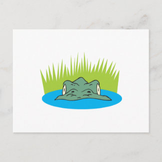 Krokodilkopf im Wasser Postkarte