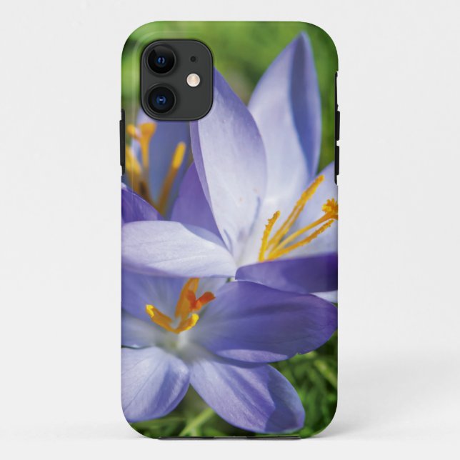 Krokus Case-Mate iPhone Hülle (Rückseite)