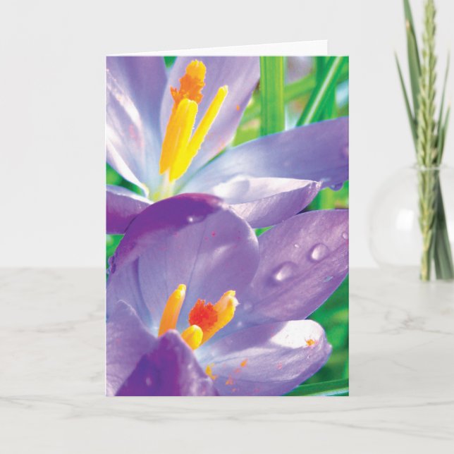 Krokus mit farbenfroher Blume-Poesie Karte (Vorderseite)