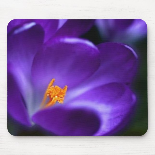 Krokus Mousepad (Vorne)