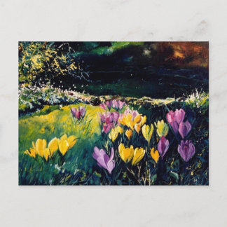 Krokus Postkarte