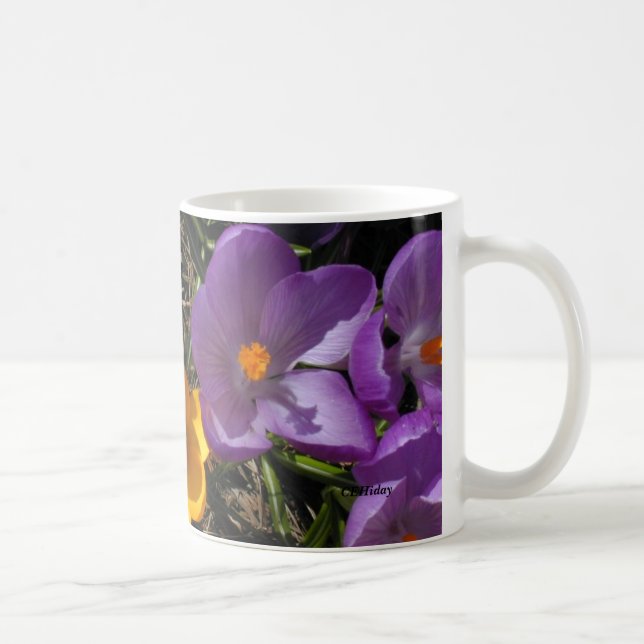 Krokus-Trio, CEHiday Kaffeetasse (Rechts)