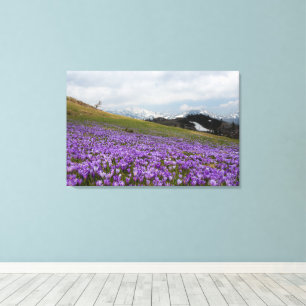 Krokusblumen auf der Velika Planina, Slowenien Leinwanddruck