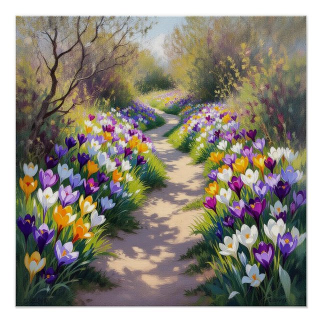 Krokusblüte Poster (Vorderseite)