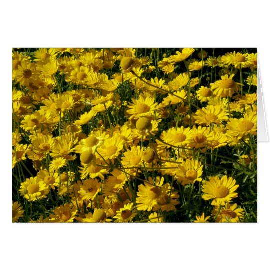 Kronen-Gänseblümchen/Chrysantheme Coronarium Karte