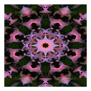 Kronen in Rosa... Poster