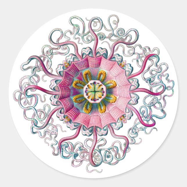 Kronen- oder Helmquälchen Runder Aufkleber (Vorderseite)