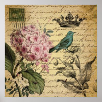 Kronenskript Hydrangea Vogel Französisch botanisch