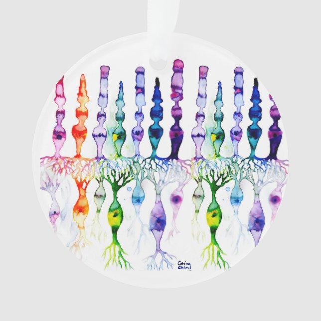 Kronenzellen Stammzellen und bipolare Neuronen der Ornament (Vorderseite)