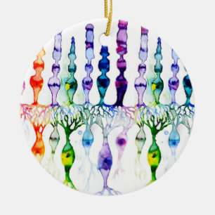 Kronenzellen Stammzellen und bipolares Netzhautneu Keramik Ornament