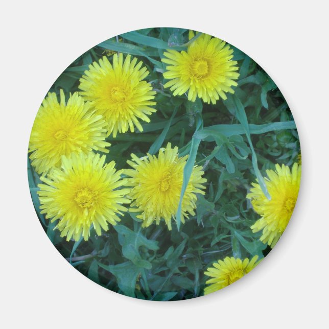 Kronleuchter Magnet (Vorne)