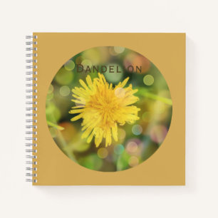 Kronleuchter mit farbenfroher Bokeh auf Indianerge Notizbuch