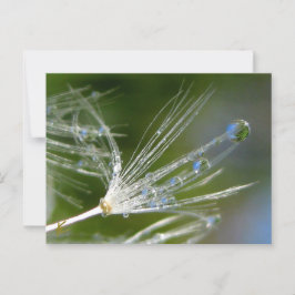 Kronleuchter mit Friedlichem, elegantem, naturbela Postkarte