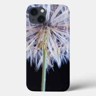 Kronleuchter (Taraxacum Officinale) iPhone 13 Hülle