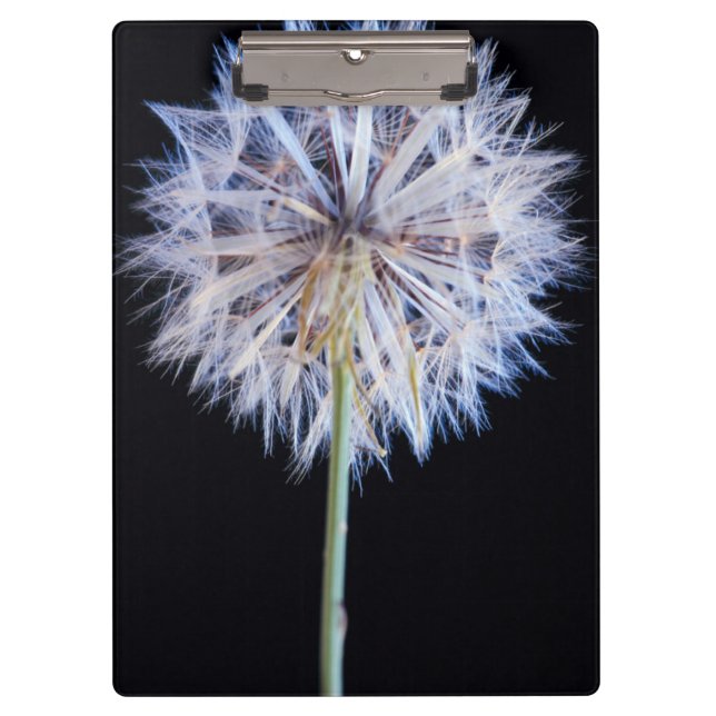 Kronleuchter (Taraxacum Officinale) Klemmbrett (Vorderseite)
