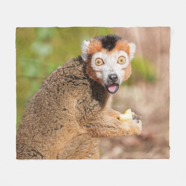 Krönte Lemurs Überraschung: Ein skandinavischer Au Fleecedecke (Vorderseite (Horizontal))