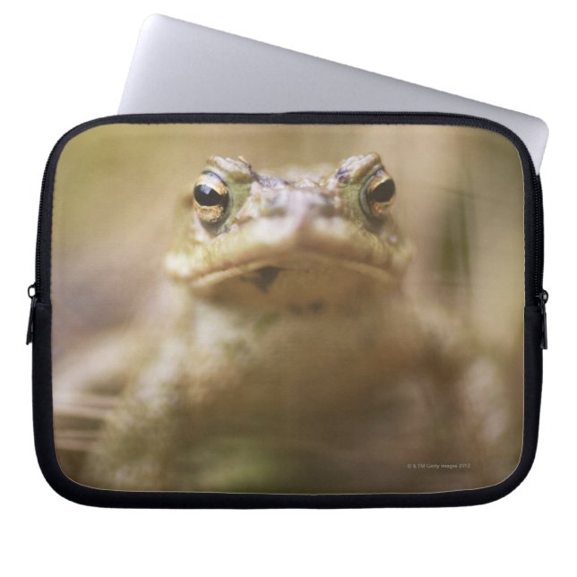 Kröte des Tages Laptopschutzhülle (Vorderseite)