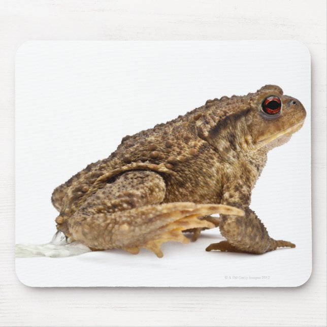 Kröte oder Kröte (Bufo bufo) Mousepad (Vorne)