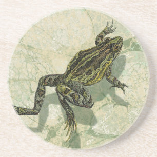 Kröte Swinning im Wasser Untersetzer