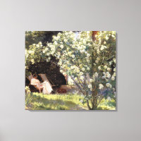 Kroyer's Les-Rose