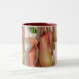 Krug-Pflanze Zweifarbige Tasse