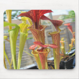 Krug-Pflanzen-Mausunterlage 2 Mousepad