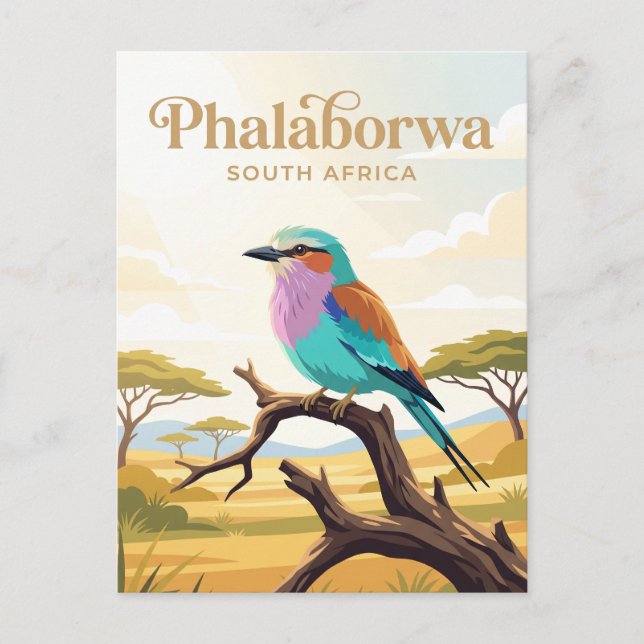 Kruger-Nationalpark Südafrika Postkarte (Vorderseite)