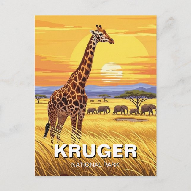 Kruger-Nationalpark Südafrika Postkarte (Vorderseite)
