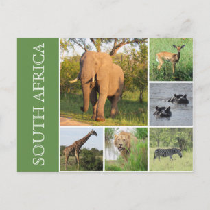 Kruger Südafrika Postkarte