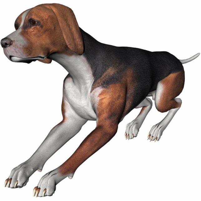 KRW Black und Tan Coonhound Freistehende Fotoskulptur (Vorne)