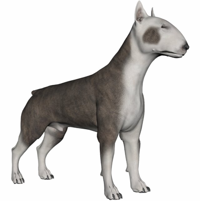 KRW Bull Terrier Freistehende Fotoskulptur (Vorne)