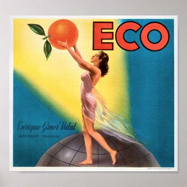KRW Öko Orangen Vintag Fruchtkäfigkennzeichnung Poster (Vorne)