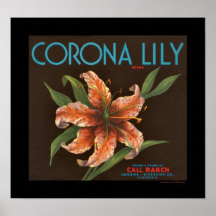 KRW Vintag Corona Lily Orange Crate Label Poster