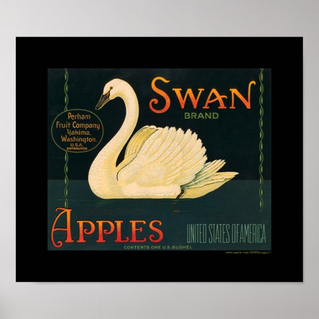 KRW Vintag Swan Apfelfruchtkiste Poster (Vorne)