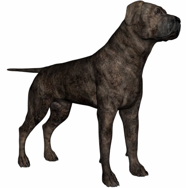 KRWMastiff Freistehende Fotoskulptur (Vorne)