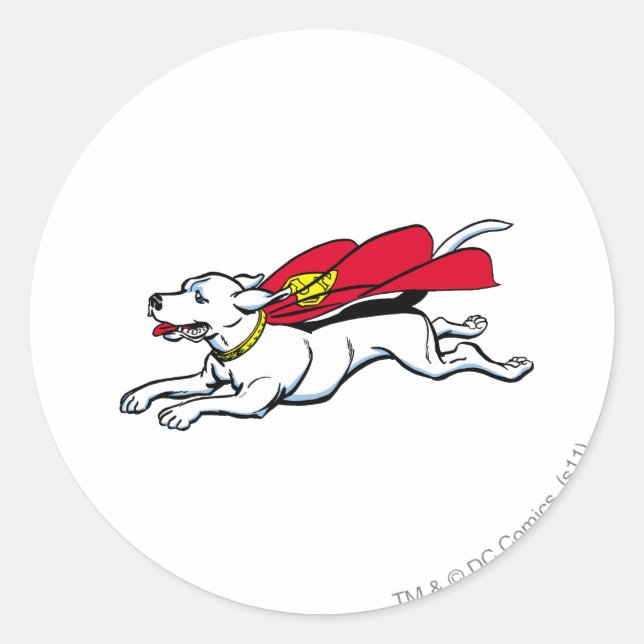 Krypto Runder Aufkleber (Vorderseite)