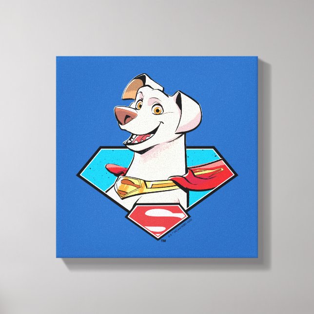 Krypto S-Shield Graphic Leinwanddruck (Vorderseite)