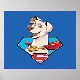 Krypto S-Shield Graphic Poster