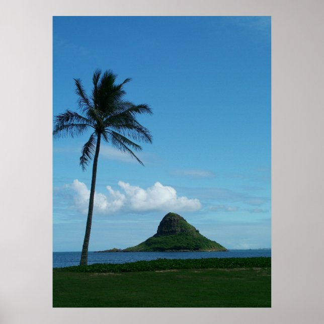 Kualoa 1 poster (Vorne)