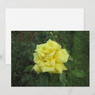 Kubistische Rose Feiertagskarte
