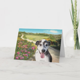 Kuchen in einem Feld von Dahlias (Hund auf Pfadled Karte