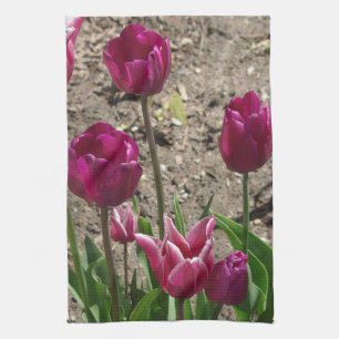 Küchenhandtuch mit violetten Tulpen Geschirrtuch