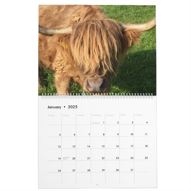 Küchenkalender Kalender (Jan 2025)