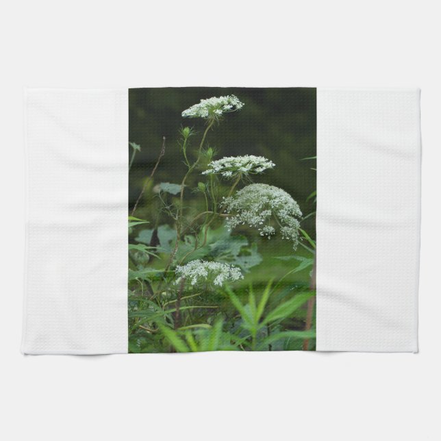 Küchentücher (Horizontal)