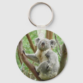 Kudly Koala Schlüsselanhänger