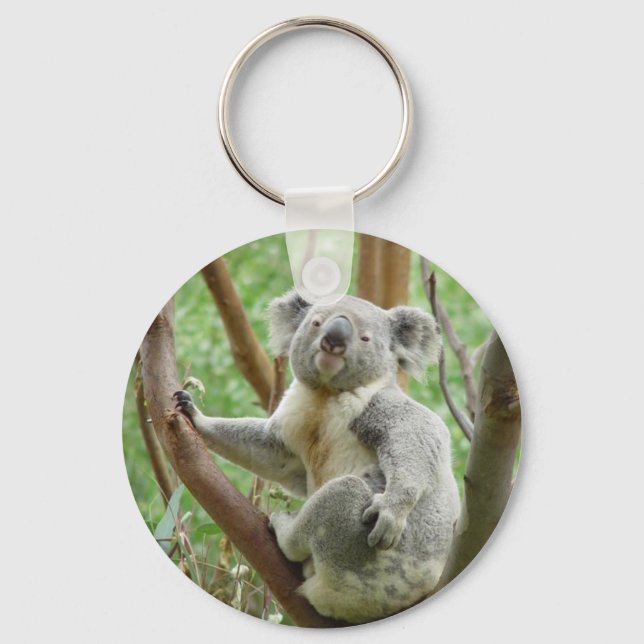 Kudly Koala Schlüsselanhänger (Vorderseite)