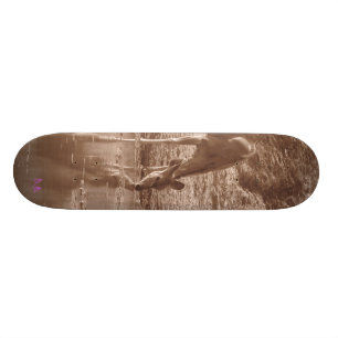 Kudu am Wasser Skateboard