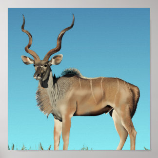 Kudu JVG Poster